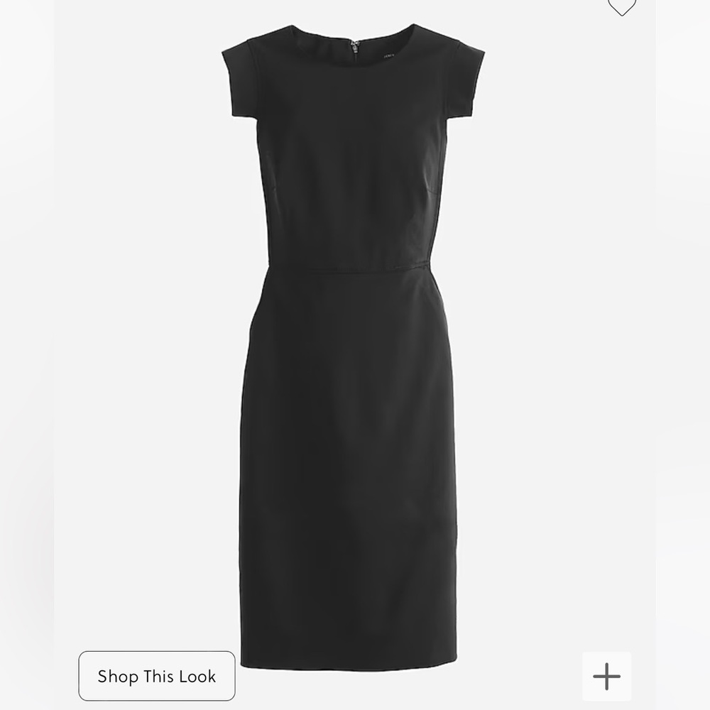 JCrew Resume Dress
